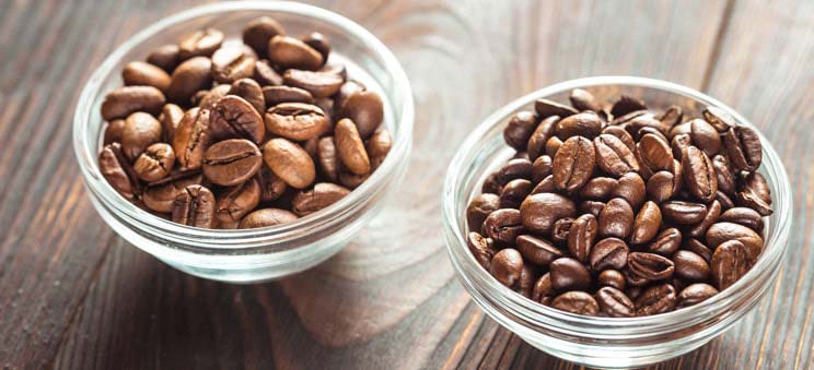 Café arabica et café robusta: quelle est la différence?